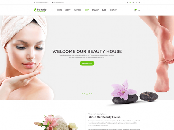 Beautyhouse - Health & Beauty HTML Template