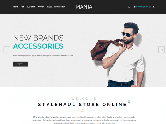 Mania - Fashion HTML Template